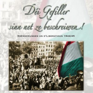 Déi Gefiller sinn net ze beschreiwen ! - à télécharger